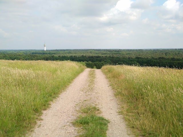 Golfclub de Gulbergen