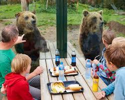 Dierenrijk